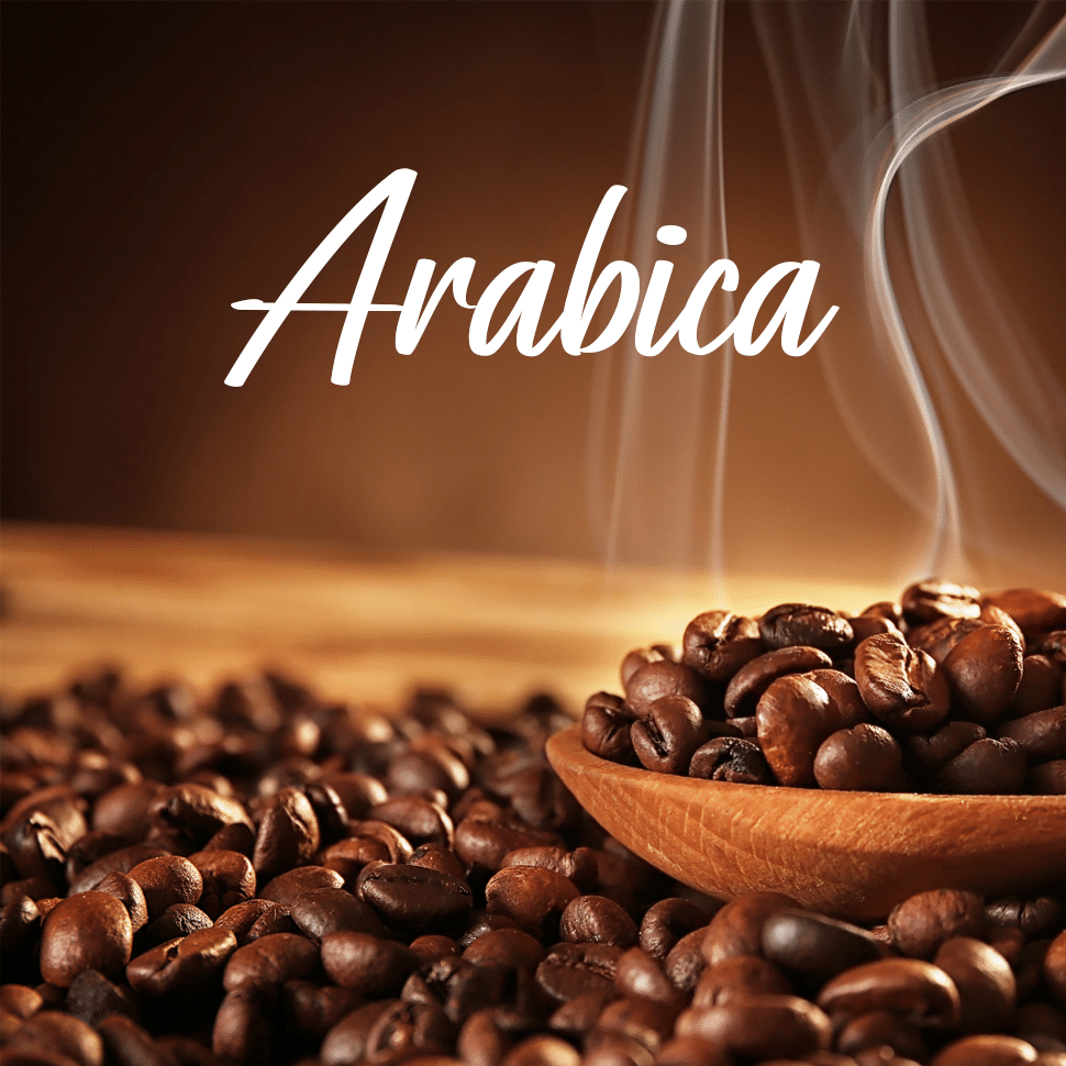 Premium Arabica
