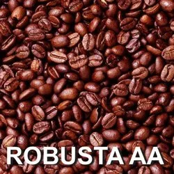 Strong Robusta